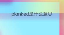 planked是什么意思 planked的中文翻译、读音、例句