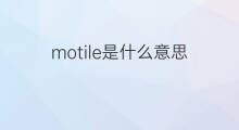 motile是什么意思 motile的中文翻译、读音、例句