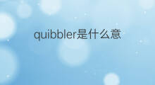 quibbler是什么意思 quibbler的中文翻译、读音、例句