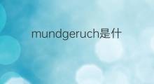 mundgeruch是什么意思 mundgeruch的中文翻译、读音、例句