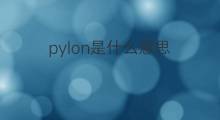 pylon是什么意思 pylon的中文翻译、读音、例句