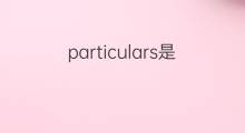 particulars是什么意思 particulars的中文翻译、读音、例句