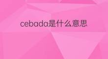 cebada是什么意思 cebada的中文翻译、读音、例句