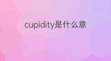 cupidity是什么意思 cupidity的中文翻译、读音、例句