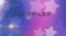 sodhi是什么意思 sodhi的中文翻译、读音、例句