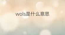 wols是什么意思 wols的中文翻译、读音、例句