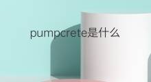 pumpcrete是什么意思 pumpcrete的中文翻译、读音、例句