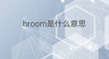 broom是什么意思 broom的中文翻译、读音、例句