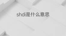 shdi是什么意思 shdi的中文翻译、读音、例句