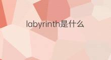 labyrinth是什么意思 labyrinth的中文翻译、读音、例句