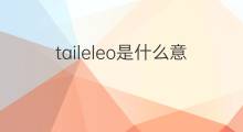 taileleo是什么意思 taileleo的中文翻译、读音、例句