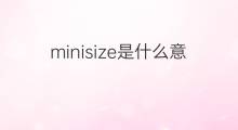 minisize是什么意思 minisize的中文翻译、读音、例句