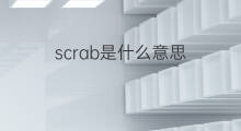 scrab是什么意思 scrab的中文翻译、读音、例句