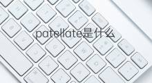 patellate是什么意思 patellate的中文翻译、读音、例句