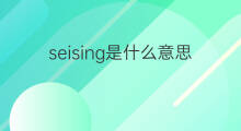 seising是什么意思 seising的中文翻译、读音、例句