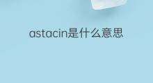 astacin是什么意思 astacin的中文翻译、读音、例句