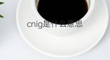 cnig是什么意思 cnig的中文翻译、读音、例句
