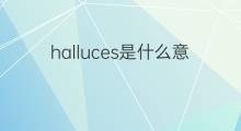 halluces是什么意思 halluces的中文翻译、读音、例句