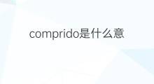 comprido是什么意思 comprido的中文翻译、读音、例句