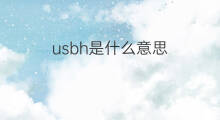 usbh是什么意思 usbh的中文翻译、读音、例句