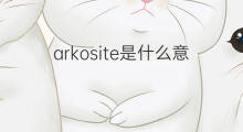 arkosite是什么意思 arkosite的中文翻译、读音、例句