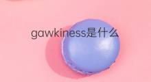gawkiness是什么意思 gawkiness的中文翻译、读音、例句