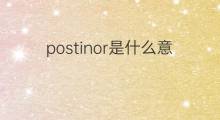 postinor是什么意思 postinor的中文翻译、读音、例句