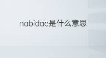 nabidae是什么意思 nabidae的中文翻译、读音、例句