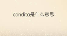 condita是什么意思 condita的中文翻译、读音、例句