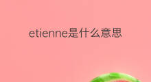 etienne是什么意思 etienne的中文翻译、读音、例句