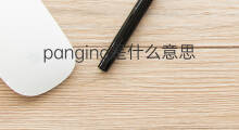 panging是什么意思 panging的中文翻译、读音、例句