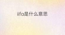 iifa是什么意思 iifa的中文翻译、读音、例句