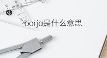 borja是什么意思 borja的中文翻译、读音、例句