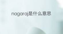 nagaraj是什么意思 nagaraj的中文翻译、读音、例句