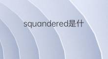 squandered是什么意思 squandered的中文翻译、读音、例句