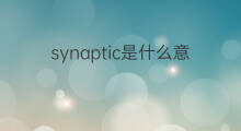 synaptic是什么意思 synaptic的中文翻译、读音、例句