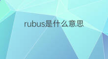rubus是什么意思 rubus的中文翻译、读音、例句
