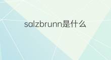 salzbrunn是什么意思 salzbrunn的中文翻译、读音、例句