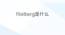 fitelberg是什么意思 fitelberg的中文翻译、读音、例句