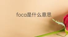 foca是什么意思 foca的中文翻译、读音、例句