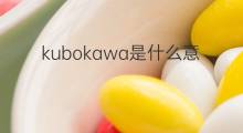 kubokawa是什么意思 kubokawa的中文翻译、读音、例句