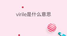 virile是什么意思 virile的翻译、读音、例句、中文解释