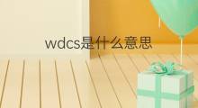 wdcs是什么意思 wdcs的中文翻译、读音、例句
