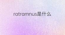 ratramnus是什么意思 ratramnus的中文翻译、读音、例句