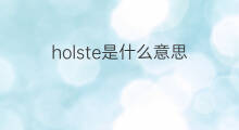 holste是什么意思 holste的中文翻译、读音、例句