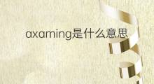 axaming是什么意思 axaming的中文翻译、读音、例句