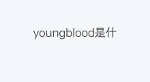 youngblood是什么意思 youngblood的中文翻译、读音、例句