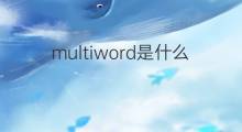 multiword是什么意思 multiword的中文翻译、读音、例句