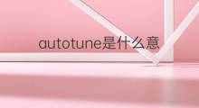 autotune是什么意思 autotune的中文翻译、读音、例句