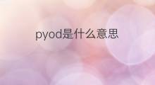 pyod是什么意思 pyod的中文翻译、读音、例句